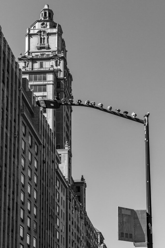 Concrete jungle by Camille Massida Photography